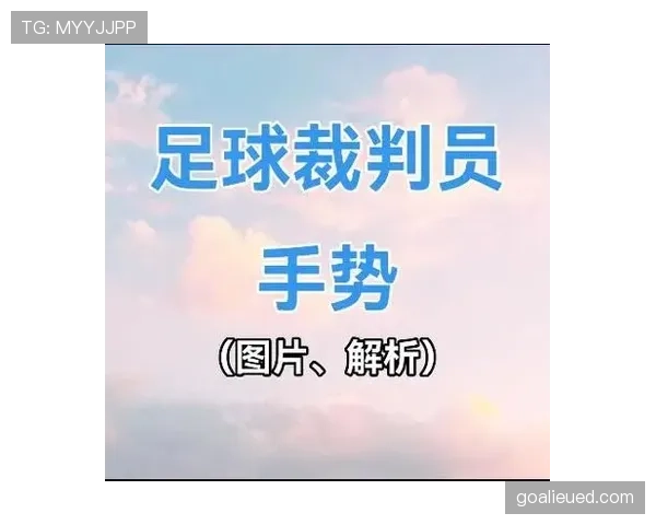 青少年足球规则重点解析及裁判判罚标准指导